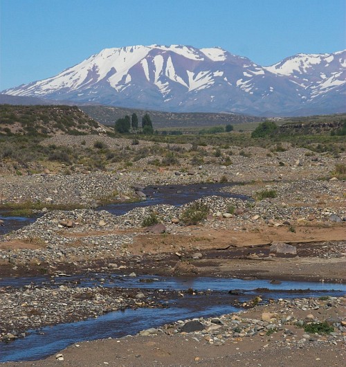 Argentina 2006