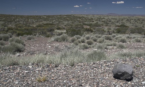 Argentina 2006