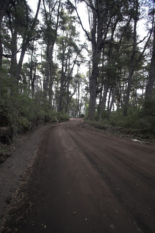 Argentina 2006