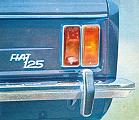 Fiat 125 detail