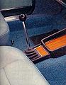 Fiat 125 detail