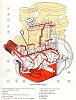 Fiat 127 lubrication system (903cc) - click for larger image