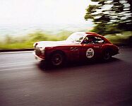 Cisitalia 202 SC - Click for larger image